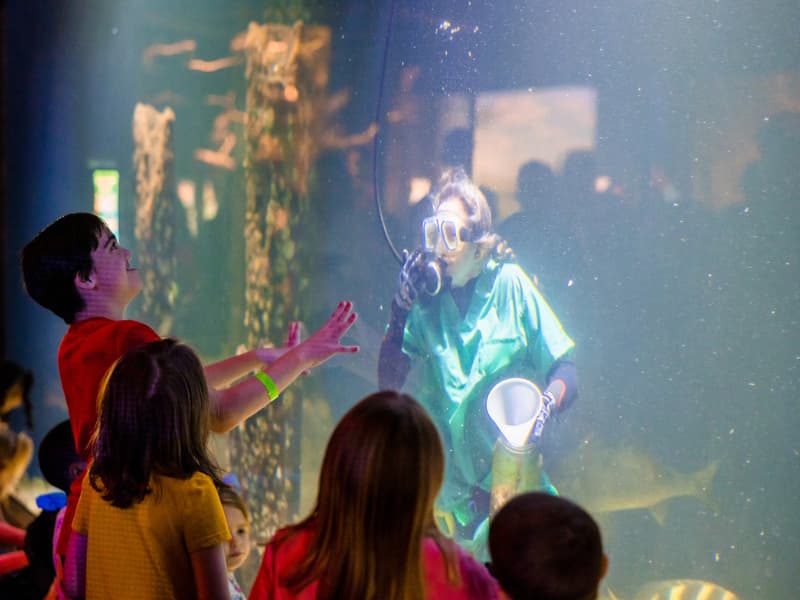 A teen boy enjoys a display at Family Fun Day