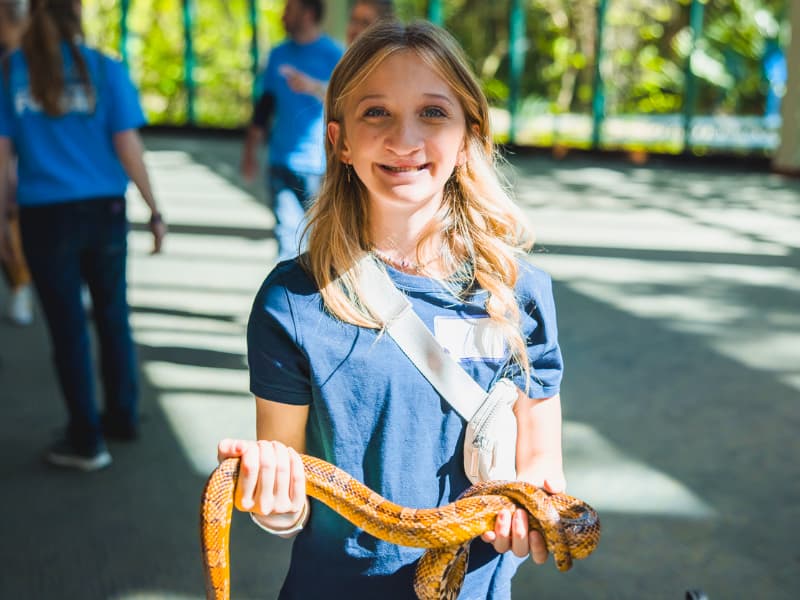 A girl in a blue shirt holds a snake during Family Fun Day