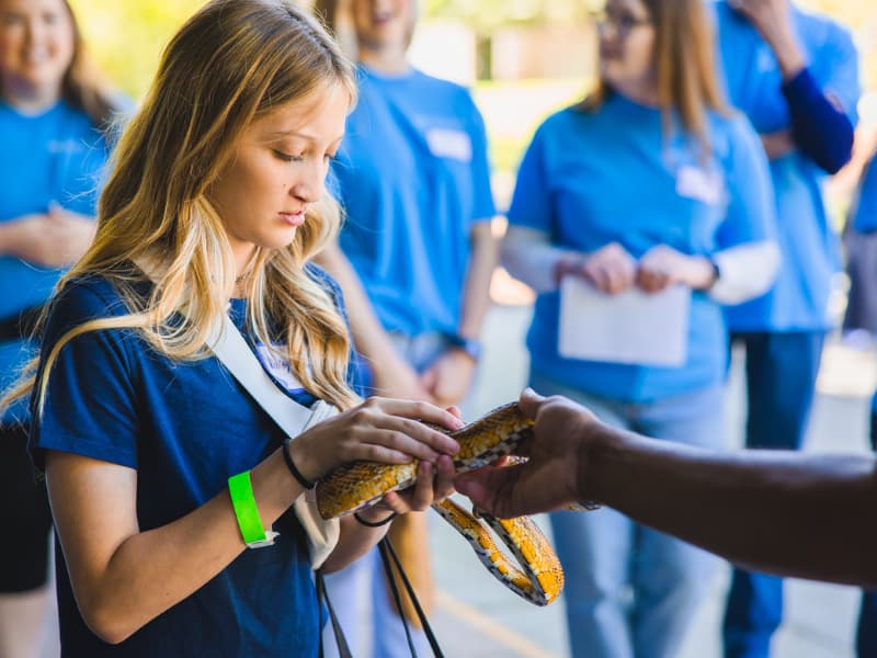 A teenaged girl holds a snake at Family Fun Day