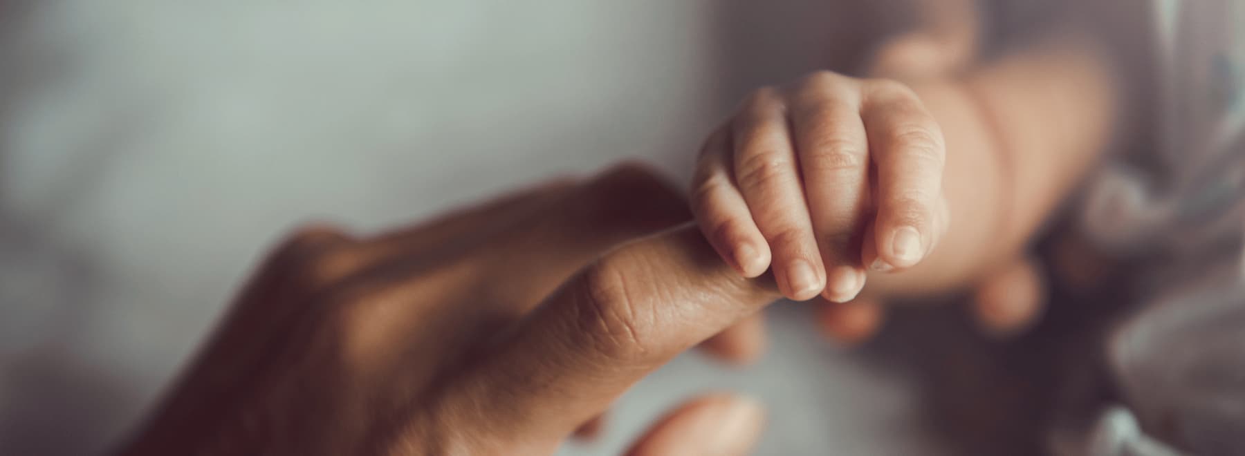 Baby holding the finger of adult hand.