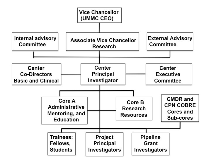 Core A flowchart - go to the image long description for details.