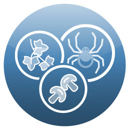 Icon representations within circles of three leaves. a spider and two mushrooms.