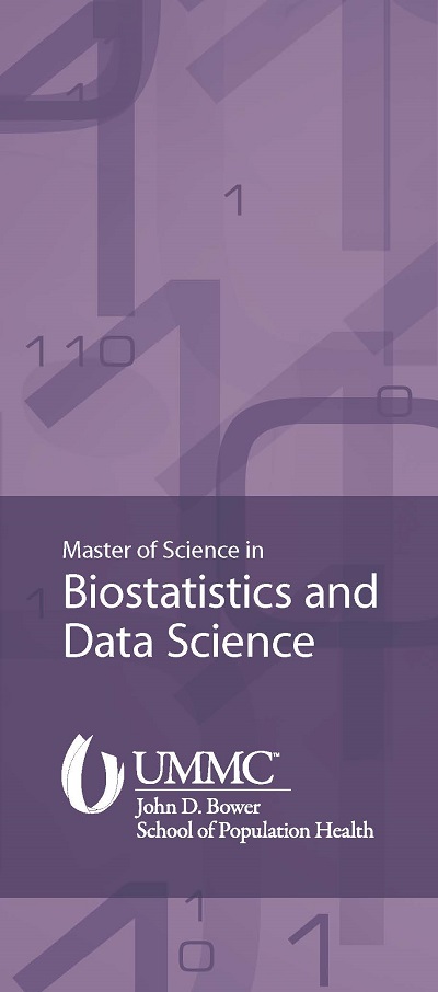 Brochure_ds_ms_3.75x8.5_Page_1.jpg