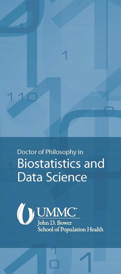 phd scholarship in biostatistics