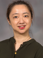 Fei Teng