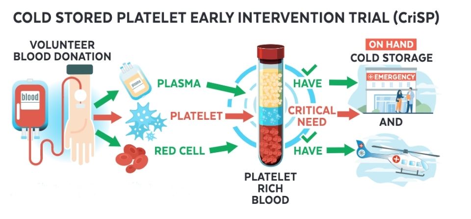 The illustration shows how blood platelets are collected from volunteer donors, processed into plasma, platelets, and red cells, then cold-stored in ERs for emergency access.