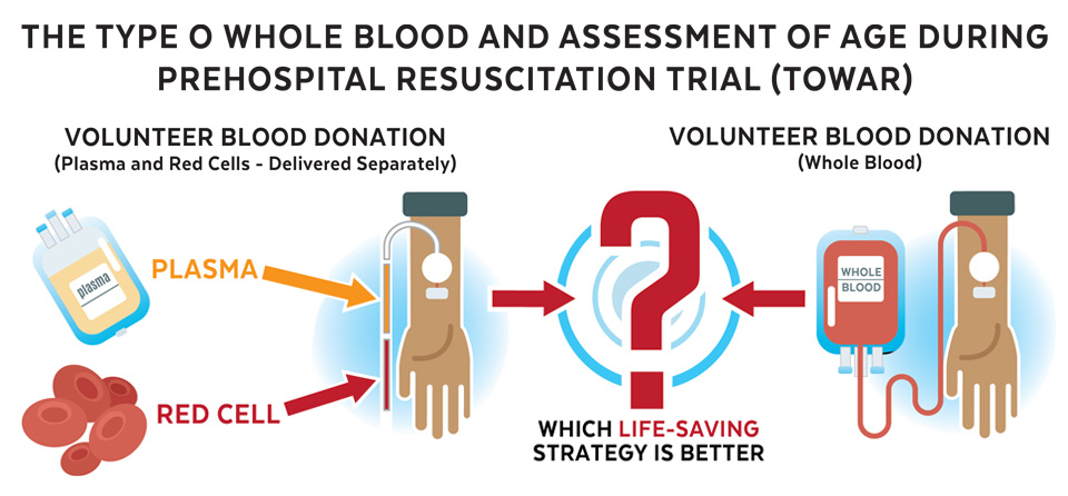 The Type O Whole Blood and Assessment of Age During Prehospital Resuscitation Trial illustration shows the plasma, platelets and red cells delivered separately from volunteer blood donations compared to whole blood in all its components from volunteer donations with the goal of seeing which is better in emergency resuscitation.