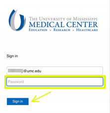 UMMC secure Sign in page with password field highlighted. Blue "Sign In" button is in the bottom left corner.