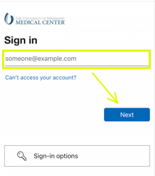 UMMC secure Sign in page with email field highlighted. Blue next button is in the bottom right corner.