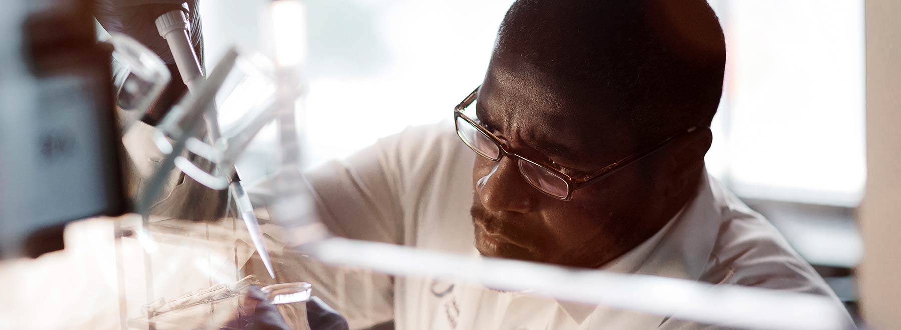 A researcher prepares a cell-culture plate in a biosafety hood