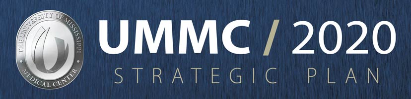 UMMC/2020 Strategic Plan