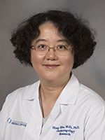 Hong Zhu, MD, PhD