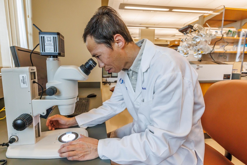 Dr. Keli Xu