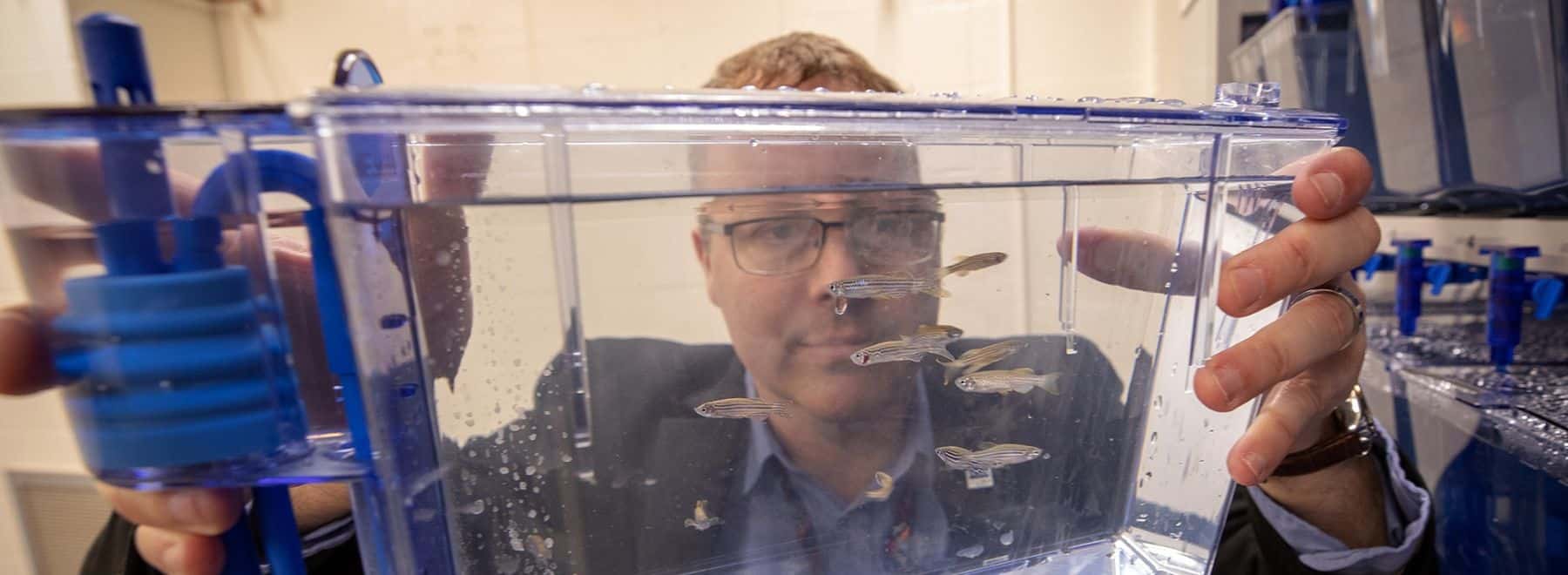 Male researcher examines fish experiment