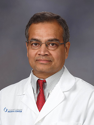 Portrait of Dr. Bibhuti B. Das