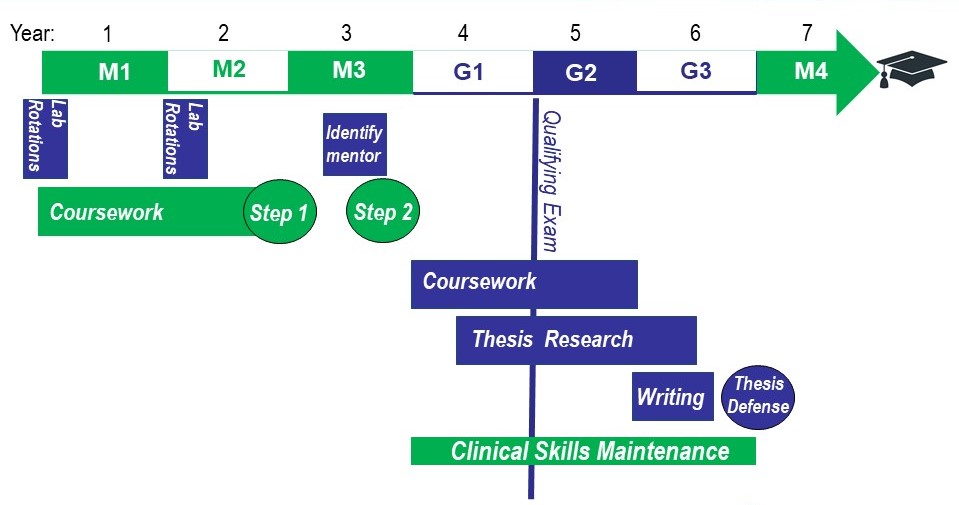 how long md phd program