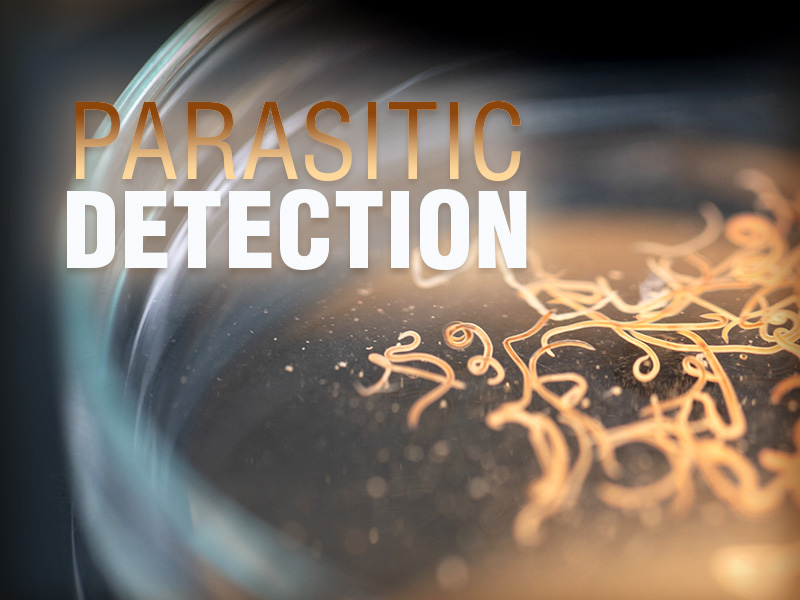 Pediatricians, parents should watch soil-borne parasite signs