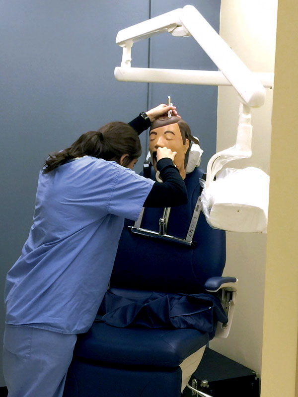 A dental hygiene student practices taking radiographs of “Dexter” in the School of Dentistry lab.