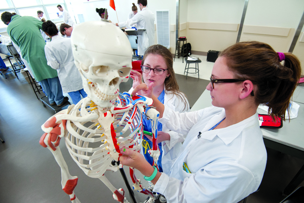 Ann Marie Mercier, left, and Kristen Wilson borrow a human skeleton model to study the anatomy of the shoulder.