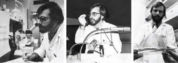 (Left): Dr. Steve Case in his biochemistry lab, in the 1980s.   (Middle): Case lectures first-year medical students in biochemistry class, during the early 1980s.  (Right): In a photo taken in the early 1980s, Case examines a strainer containing adult midges, which were raised in his biochemistry lab to study genes that encode proteins used by aquatic midge larvae to form underwater silk fibers.