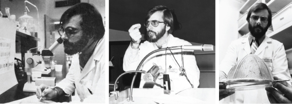 (Left): Dr. Steve Case in his biochemistry lab, in the 1980s. (Middle): Case lectures first-year medical students in biochemistry class, during the early 1980s. (Right): In a photo taken in the early 1980s, Case examines a strainer containing adult midges, which were raised in his biochemistry lab to study genes that encode proteins used by aquatic midge larvae to form underwater silk fibers.
