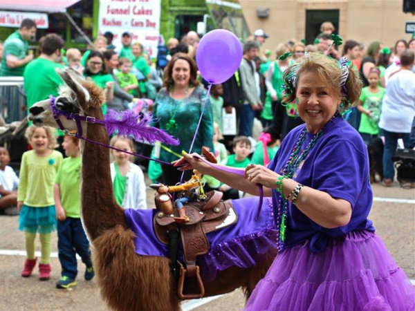Everyone loves a pet parade, especially one that features a llama.