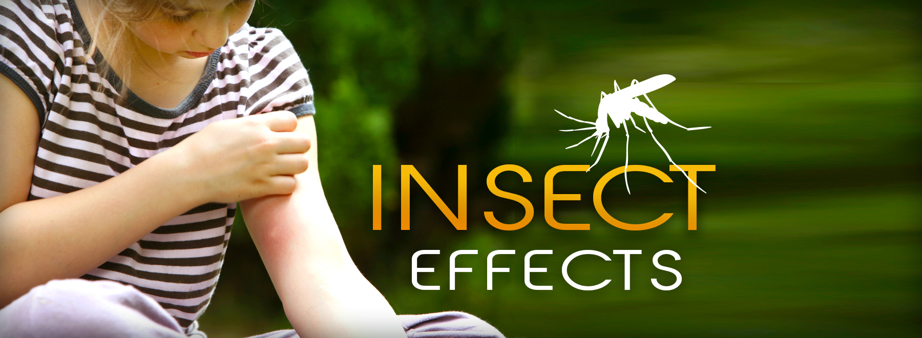 How to minimize infections from summertime’s notorious pests ...