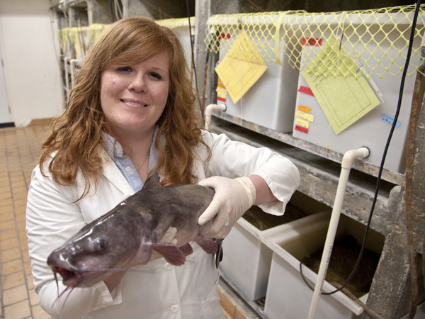 #UMMCGrad15: Grad researcher nets catfish study