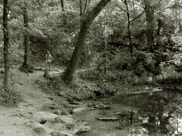 Sorey has photographed many rope swings, including this one in south Mississippi.