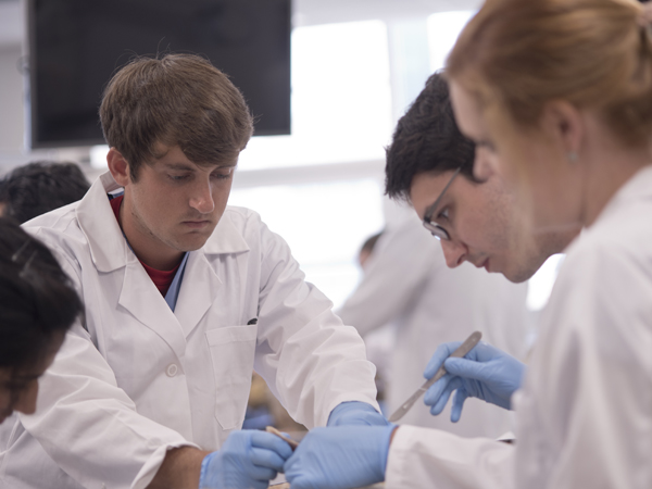 McDonnieal concentrates on his task during his second day in the Gross Anatomy lab.