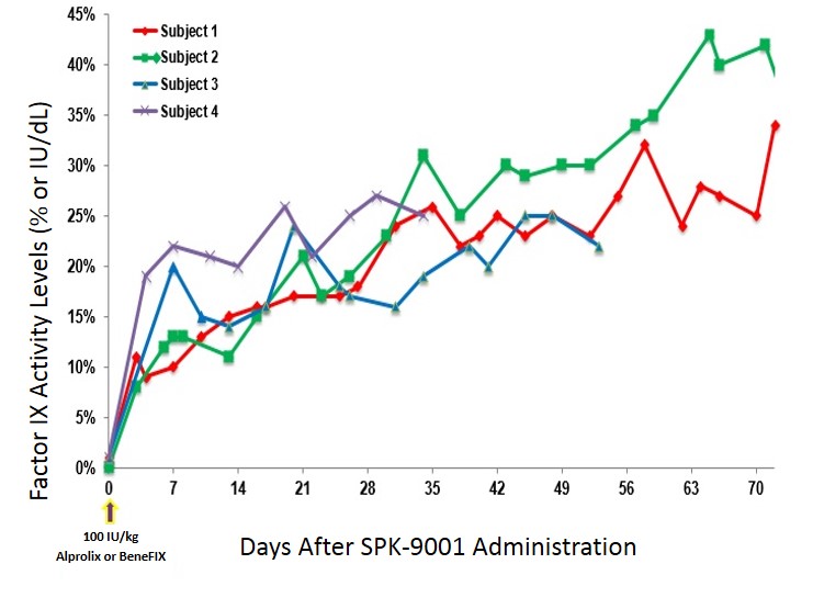 Data from the trial show consistent levels of FIX activity weeks after the gene therapy treatment.