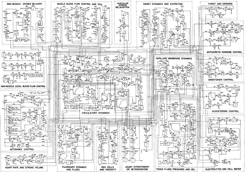 Dr. Arthur Guyton's 1972 model of cardiovascular dynamics.