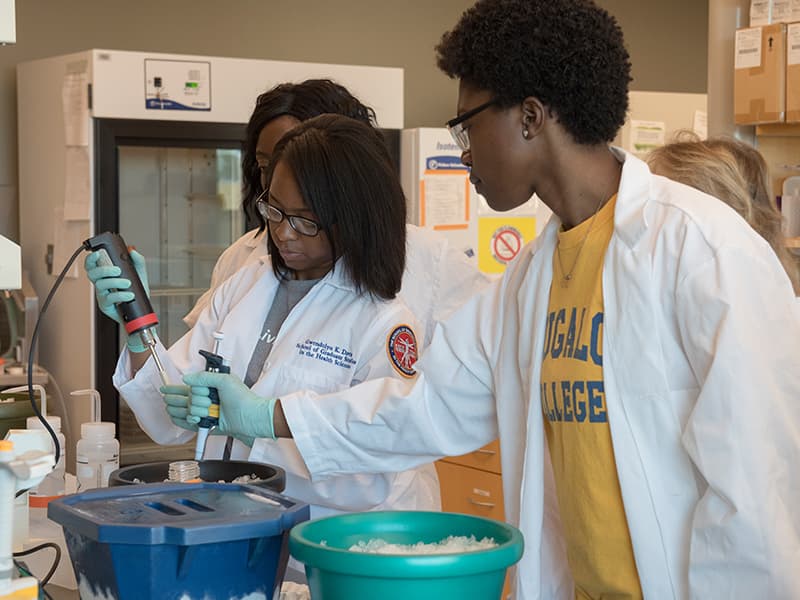 Extramural grants and awards support research activity and the development of human capital. This includes training the next generation of biomedical scientists, including Gwen Davis, left, a fourth-year graduate student in physiology and biophysics, and Alyssa Cole, a Tougaloo College Summer Undergraduate Research Experience student as they work in the lab.