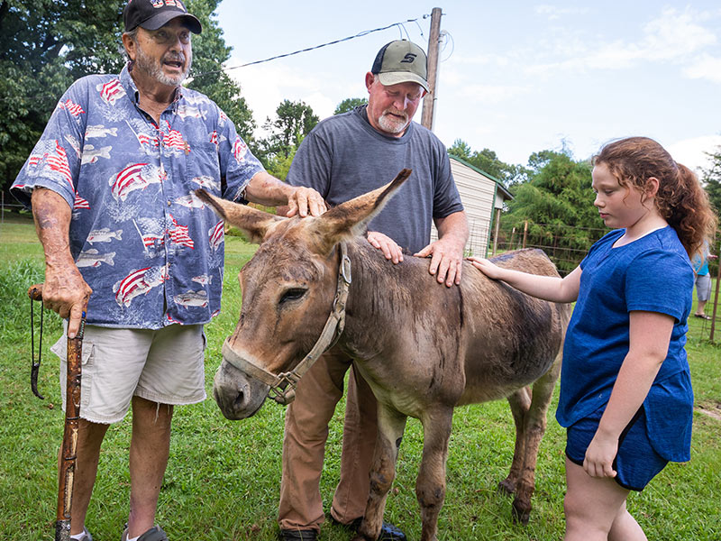 AirCare, blood clotting drug save man from death by donkey bite