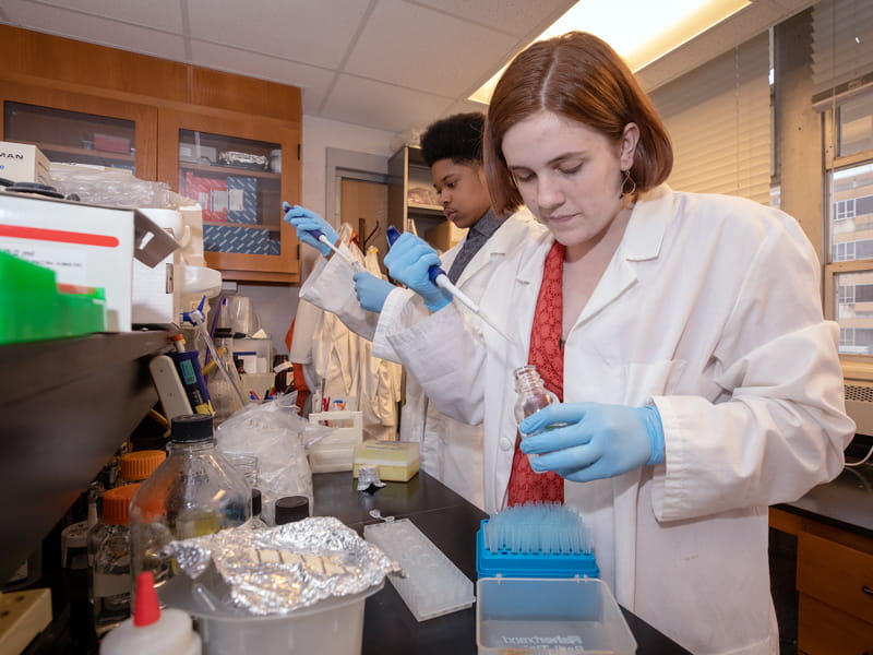 Murrah High School seniors and Base Pair students Kilando Chambers, background, and Maggie Jefferis work in Dr. Stephen Stray's lab at UMMC.