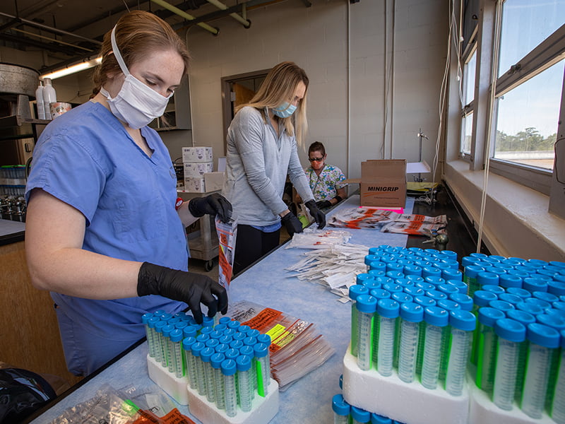 Mikayla Johnson. left, M1, and Danielle Block, M3, both of whom are enrolled in the Disaster Management Course for students, help assemble COVID-19 test kits May 1 at the Medical Center.