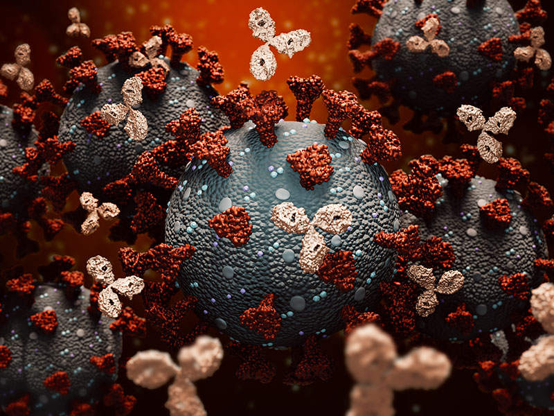 Few positives mean good news for antibody study