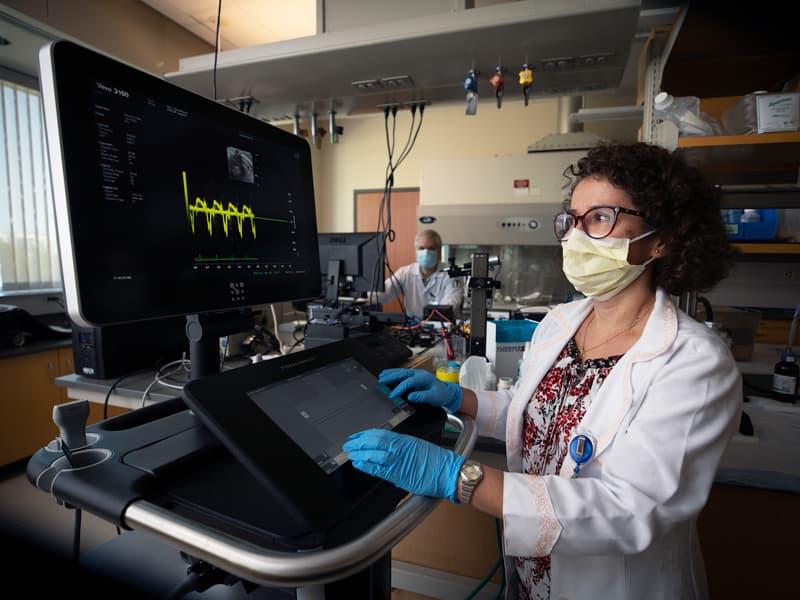 Dr. Jussara do Carmo, UMMC associate professor of physiology and biophysics, studies how parental health influences the health of their offspring. Her research, supported by the NIH, is one of hundreds of UMMC projects funded by outside grants in the past year.