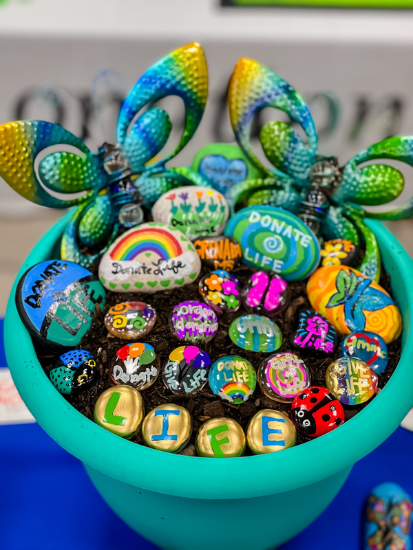 Employees at UMMC Grenada painted dozens of rocks in bright colors to celebrate Donate Life Month.