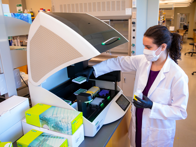 Natalie Wilson, a researcher in Speed's lab, measures gene expression using digital PCR.