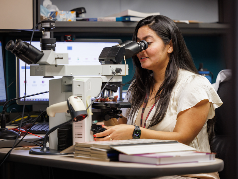 Dr. Neha Varshney, an assistant professor in the Department of Pathology, examines a biopsy sample from a patient who underwent a colonoscopy.