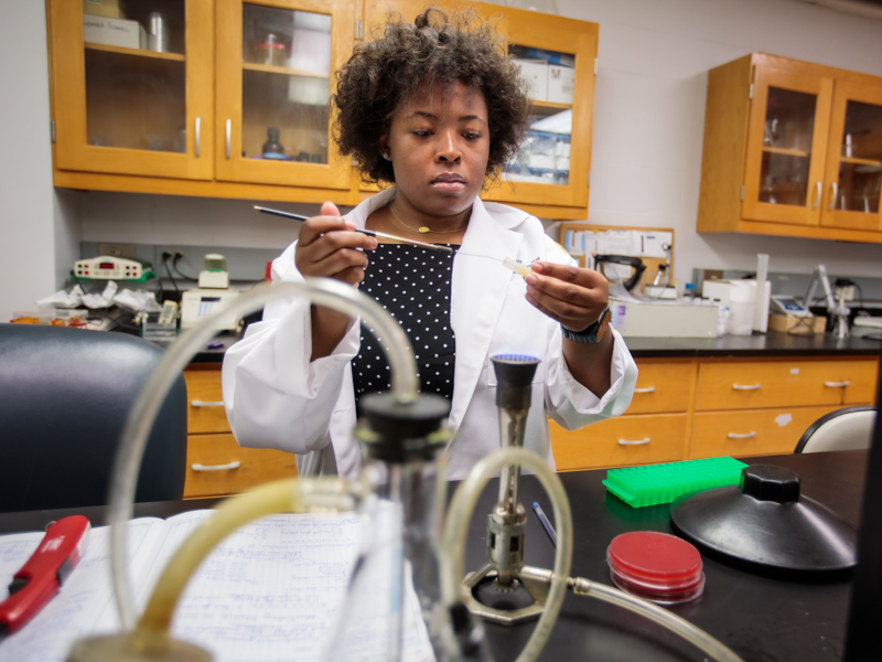 Mary Carr studies bacterial infections as part of her dissertation research in the School of Graduate Studies in the Health Sciences.