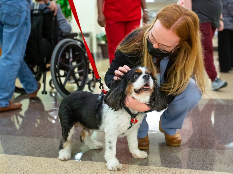 ICU registered nurse Rylee Stone loves on therapy dog Theo, a pet with the Alliance of Therapy Dogs, as part of National Nurses Week. Melanie Thortis/ UMMC Communications