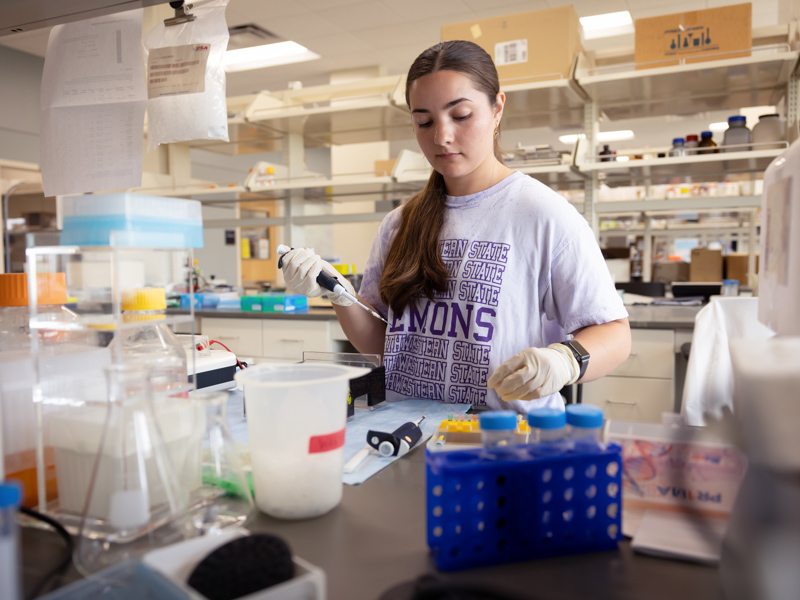 SURE student Maggie Stanford performs research involving the effect of the drug Prozac on the brain. Jay Ferchaud/ UMMC Communications