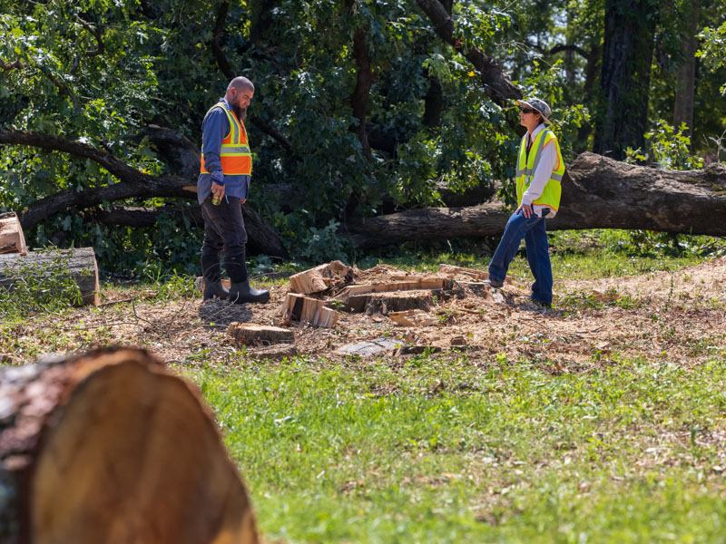Dustin Clarke, left, crew chief, and Dr. Jennifer Mack, lead bioarchaeologist, survey a section of land cleared of trees in September, a prelude to excavation work for the Asylum Hill Project. Melanie Thortis/ UMMC Communications