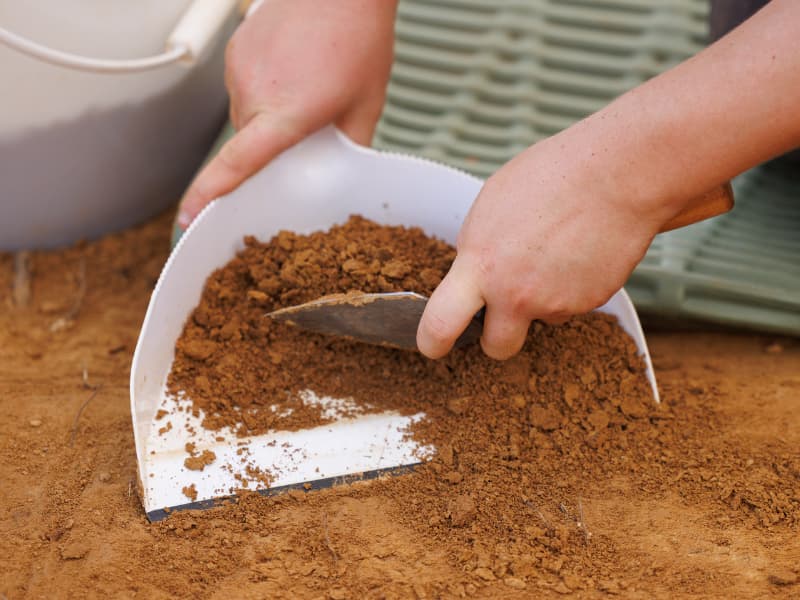 Millsaps College student Aiden Lewis trowels the topmost layers of soil from a grave.