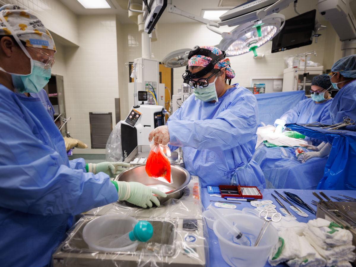 Dr. Felicitas Koller, center, takes part in 7-way kidney donor swap