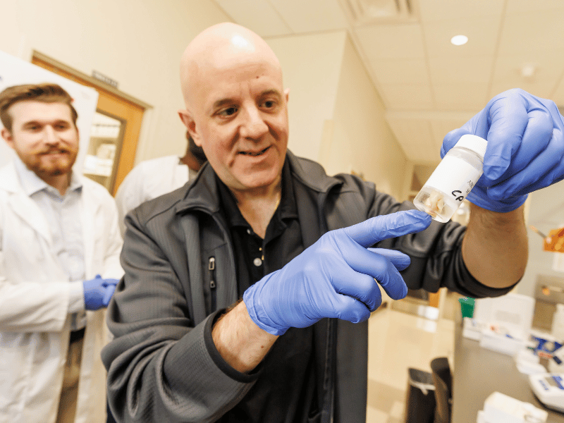 Dr. Harry Pantazopoulos, assistant professor of psychiatry and human behavior, examines a human hypothalamus sample while Hunter Matkins, researcher, observes.