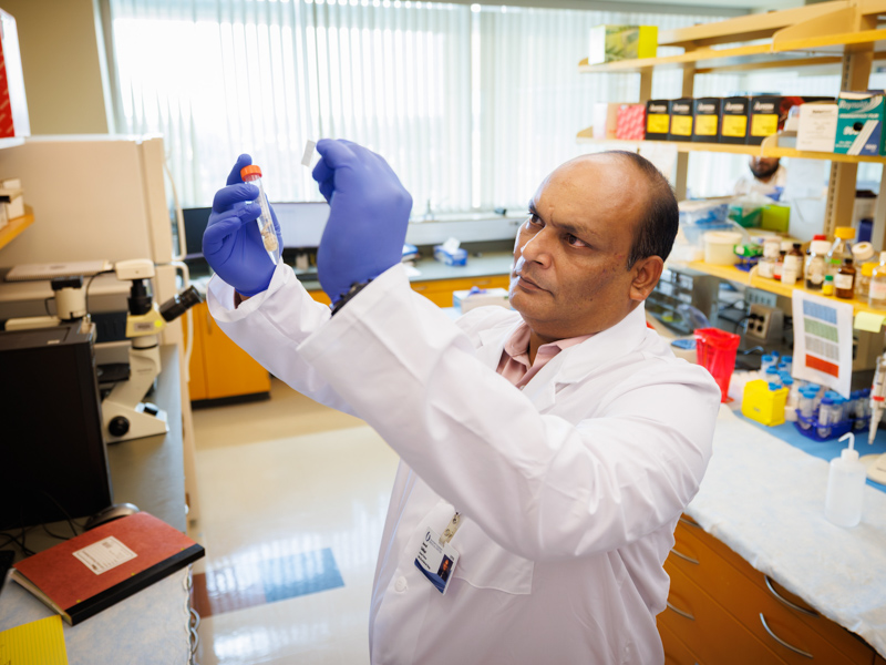 Dr. Jawed Siddiqui examines prostate cancer cells.