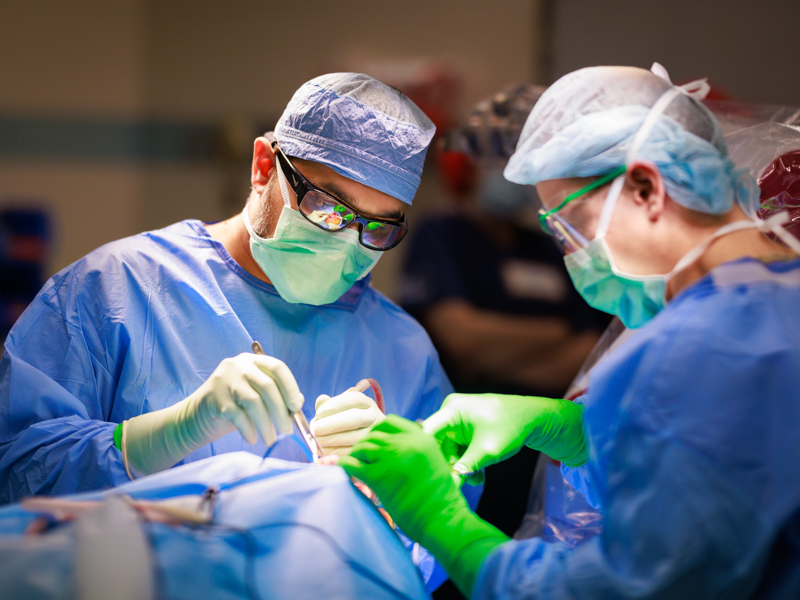 Image for UMMC ranks No. 2 on Forbes’ list of America’s Best Employers for Healthcare Professionals